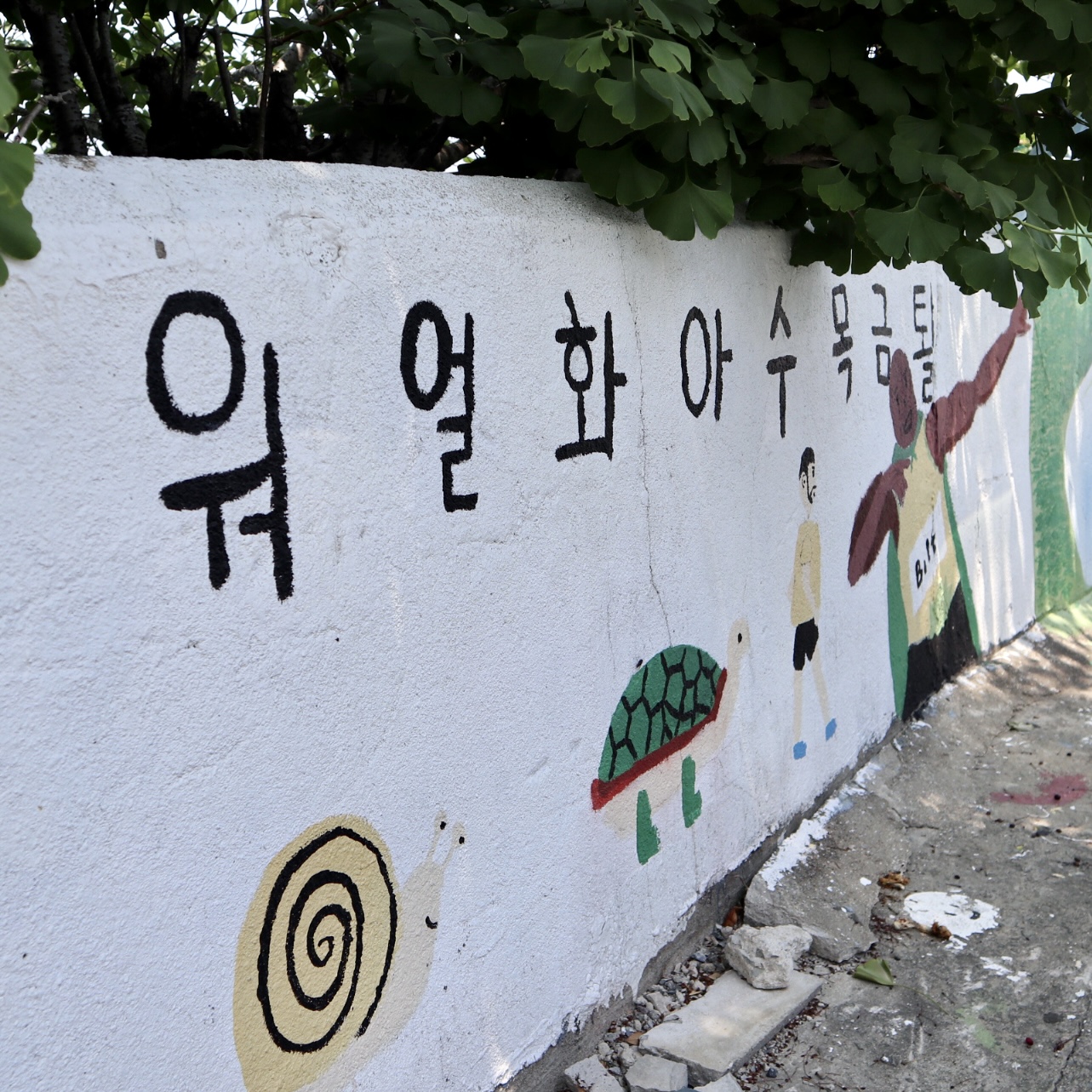 경남 통영시&#44; 동피랑 벽화마을(Dongpirang Mural Village) 31