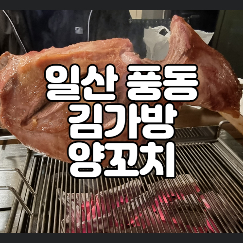  중국의 맛 그대로 느낄 수 있는 일산풍동 애니골 맛집 김가방양꼬치