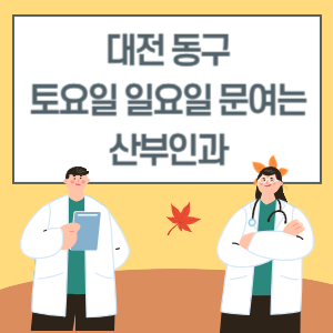 대전 동구 토요일 일요일 산부인과 진료 문여는 병원 리스트