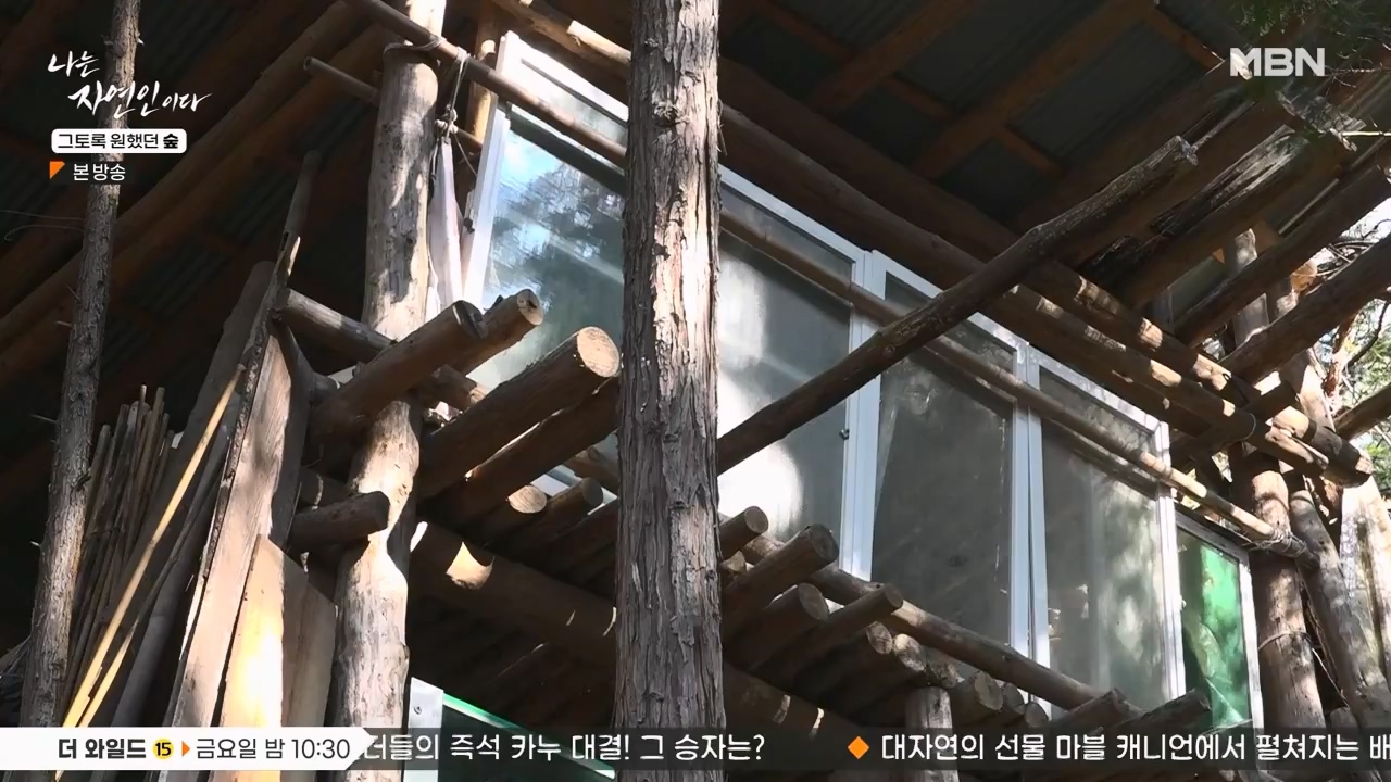 나는 자연인이다.E591.240132p-NEXT.mp4_20240201_195738.911.jpg