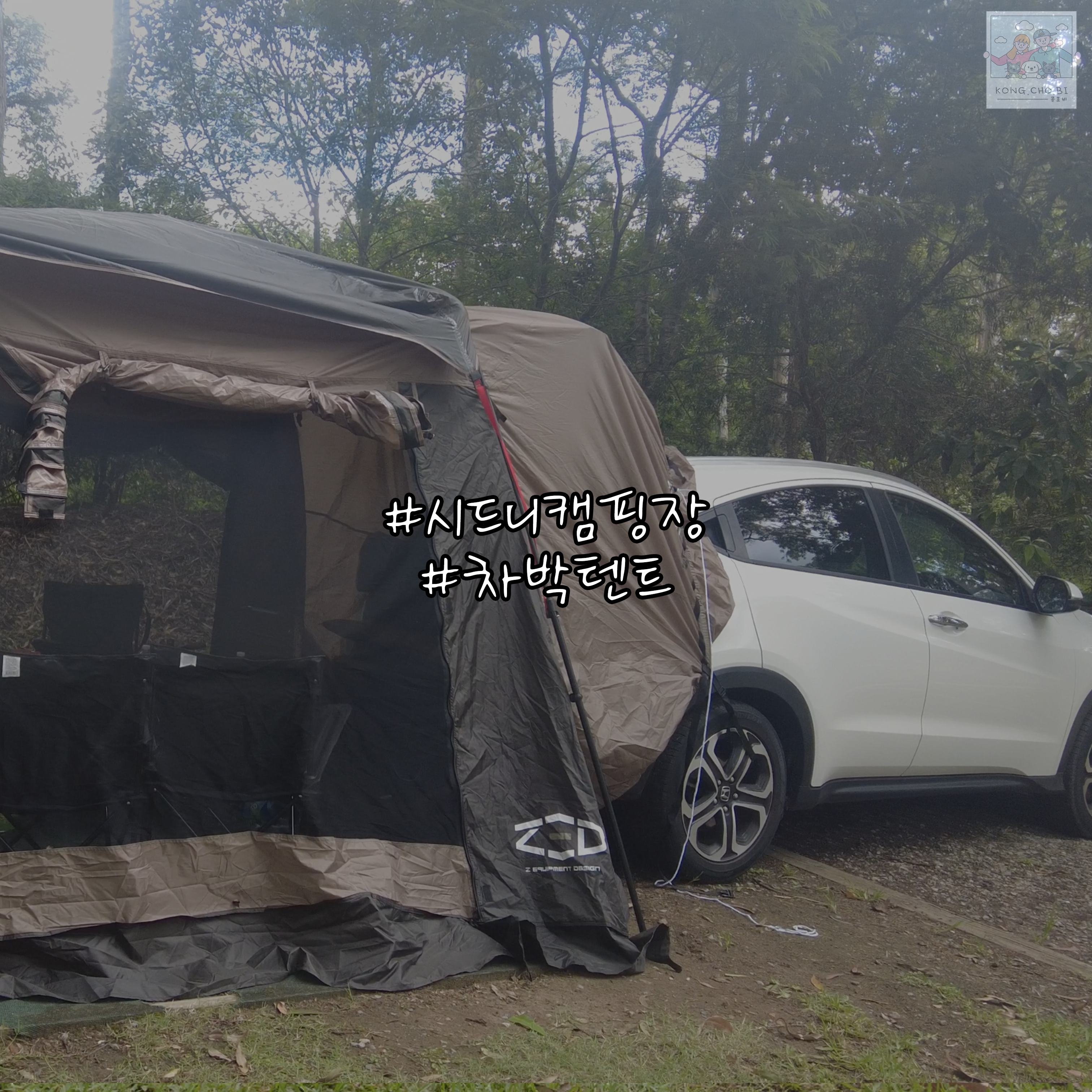  호주캠핑 Lane Cove caravan park 차박텐트로 캠핑하기