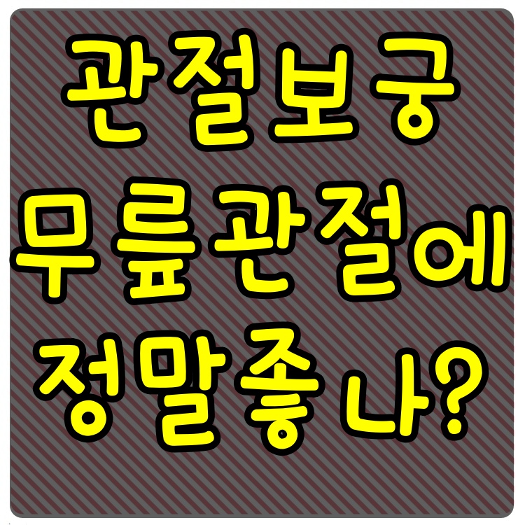  관절보궁 가격 효능 알아보기