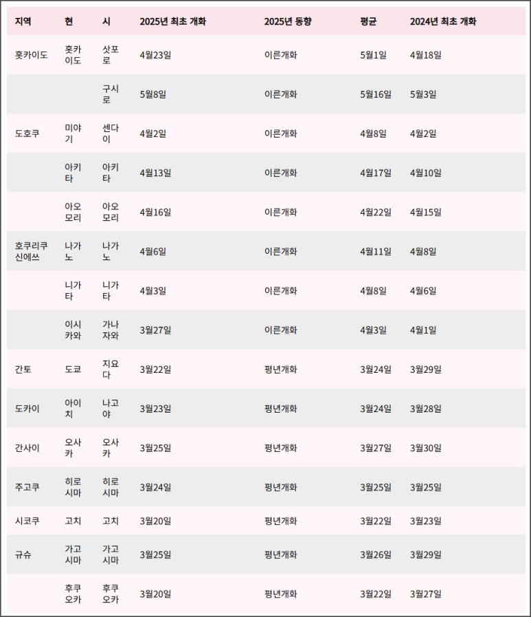 2025년 일본 지역별 벚꽃 개화 예상 시기 표.