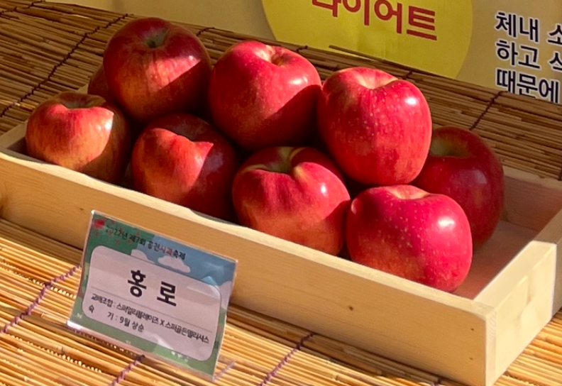 온라인장터