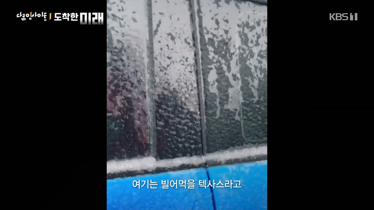 다큐 인사이트.E185.240419p-NEXT.mp4_20240420_161116.346.jpg
