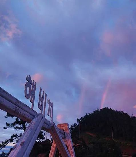 해비치131