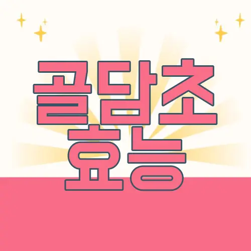 골담초 효능