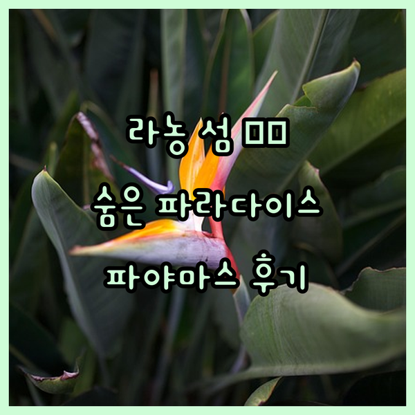 태국 라농 섬, 숨겨진 파라다이스? 