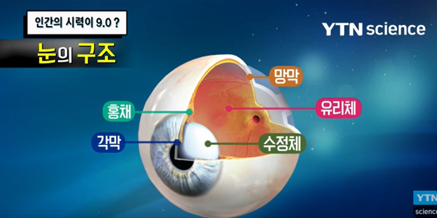  난시 증상에 대해 알아봤습니다.