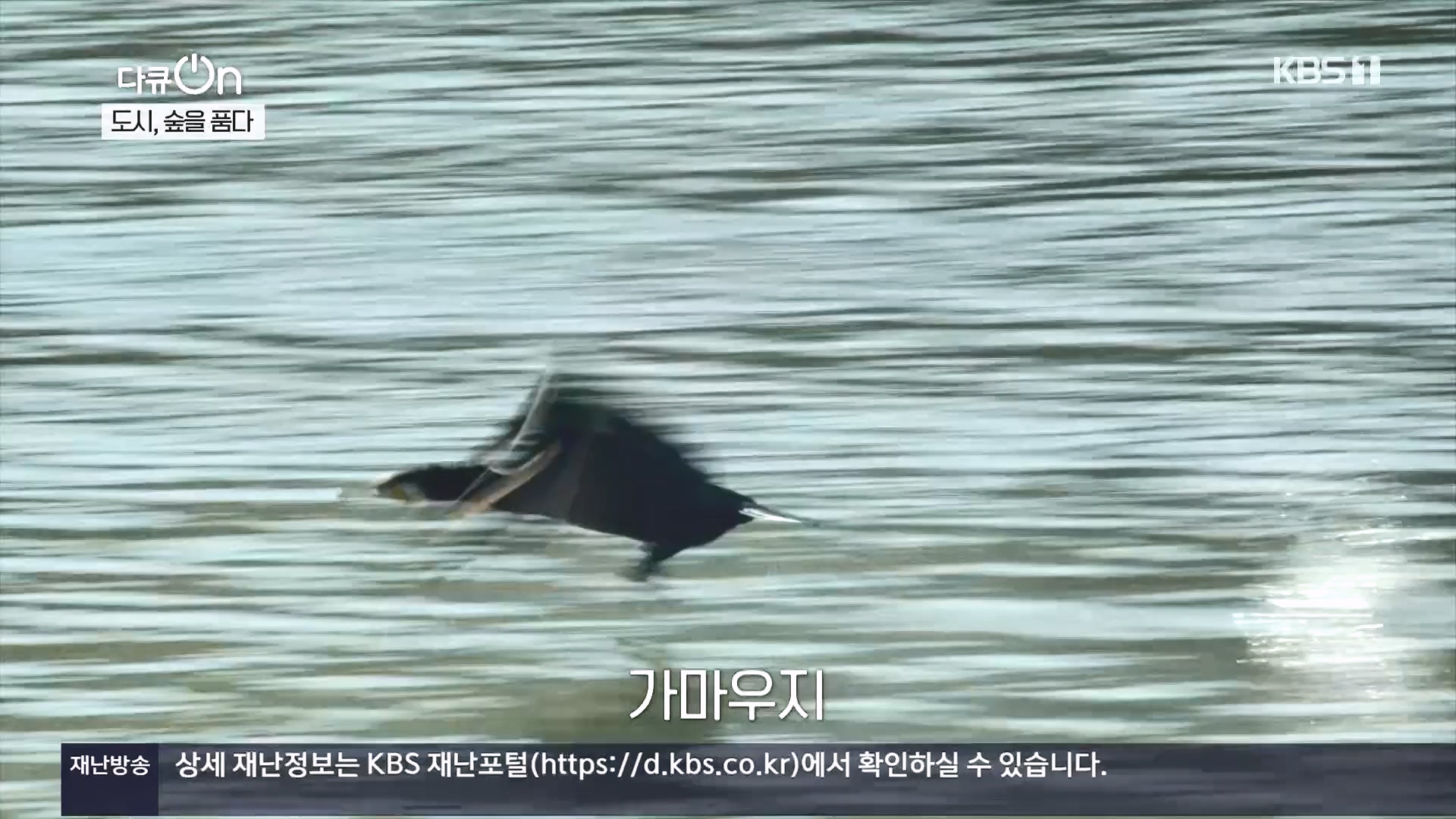 다큐 On.E232.231216p.H264-F1RST.mp4_20231220_212235.616.jpg