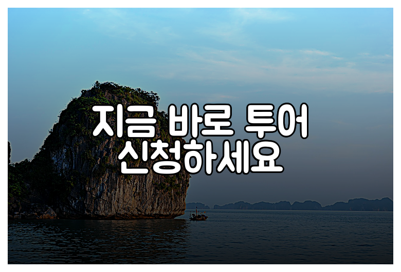 지금 바로 투어 신청하세요