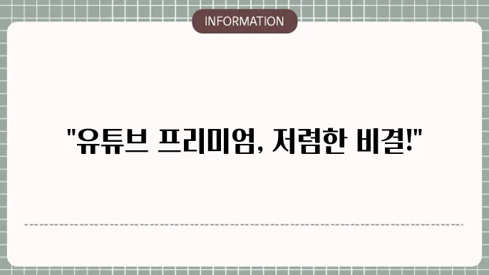 유튜브 프리미엄 요금 인도 월 4,000원대 가능할 이유