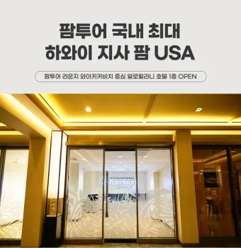하와이 항공권 예약_25