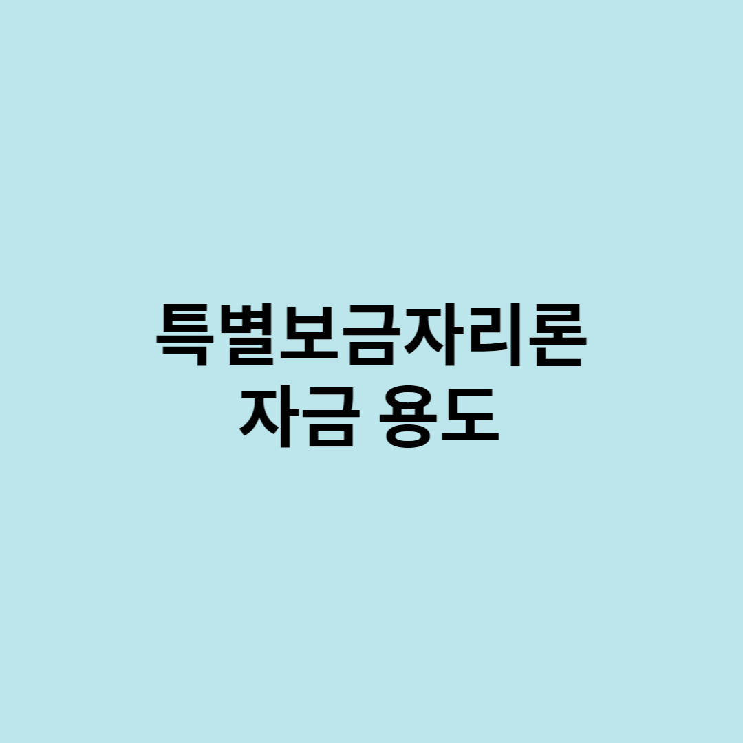 특별보금자리론