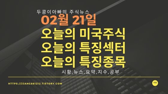  20년 02월 21일 미국증시,특징섹터,특징종목