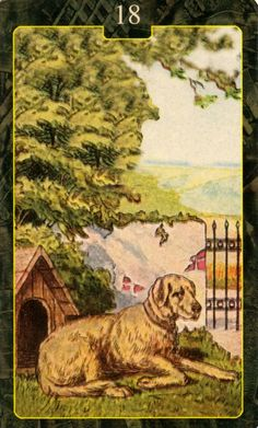  [레노먼드카드배우기]18.Dog 개 해석 및 의미