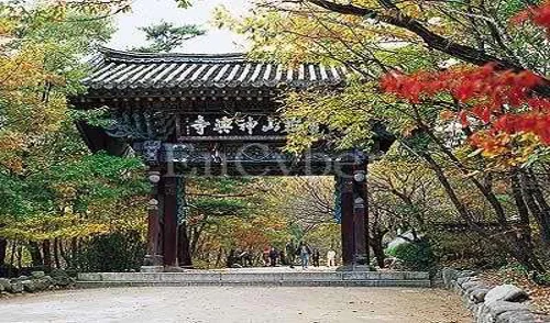 신흥사