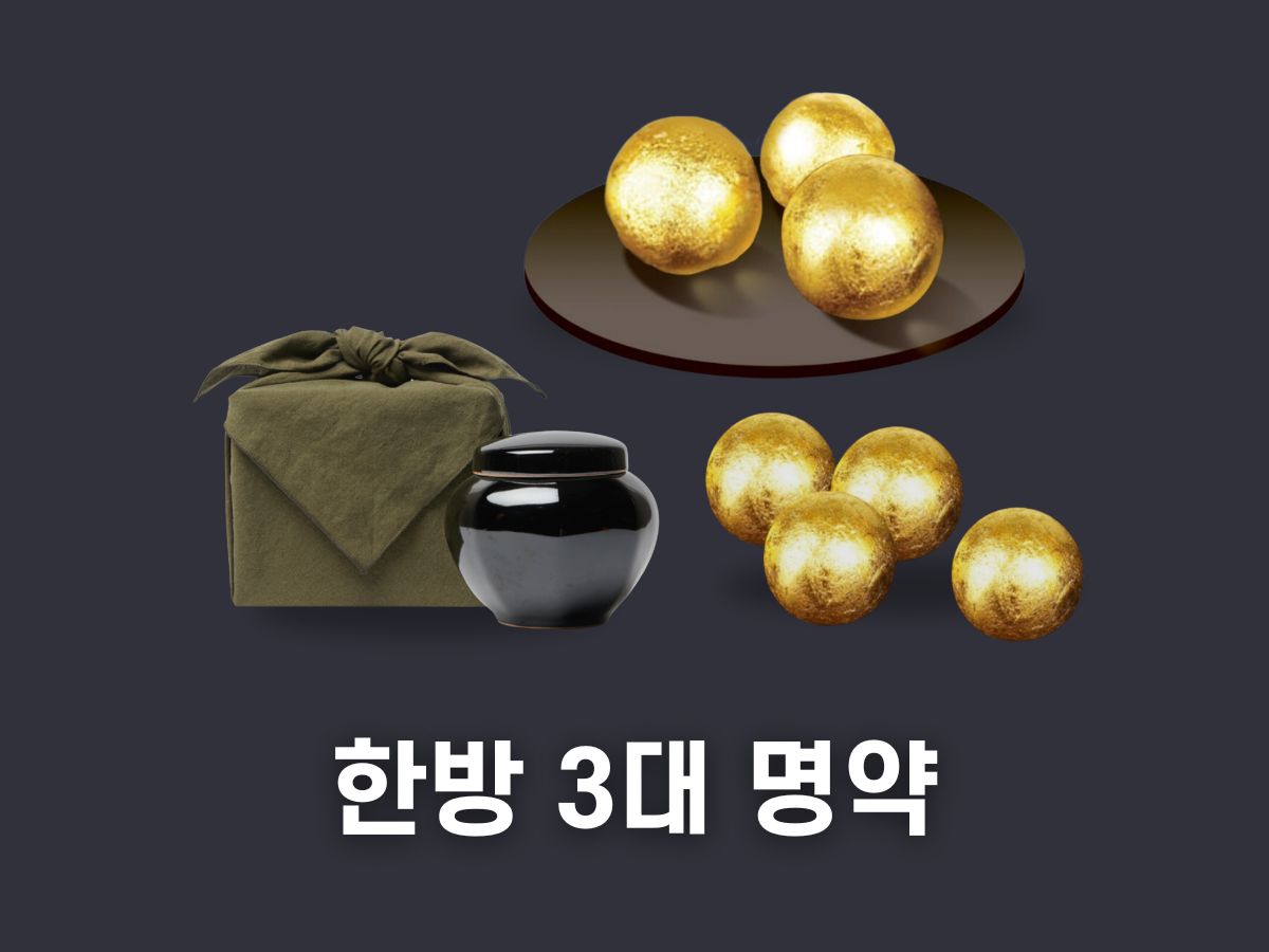 한방 3대 명약 총정리(공진단 경옥고 청심환)