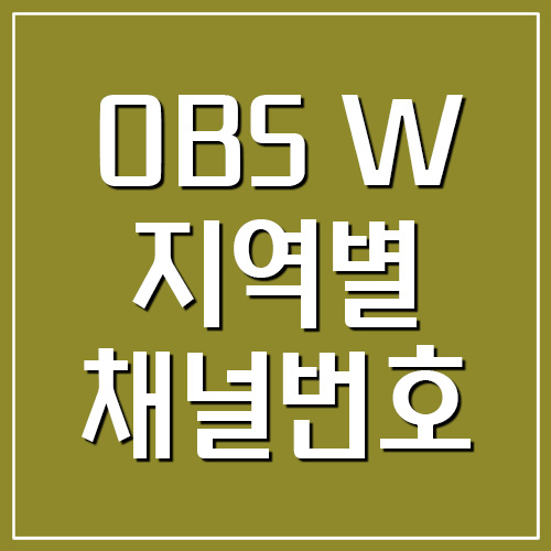OBS W 지역별 채널번호