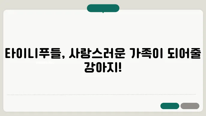 타이니푸들 가격, 겇1이 되어줄 강아지
