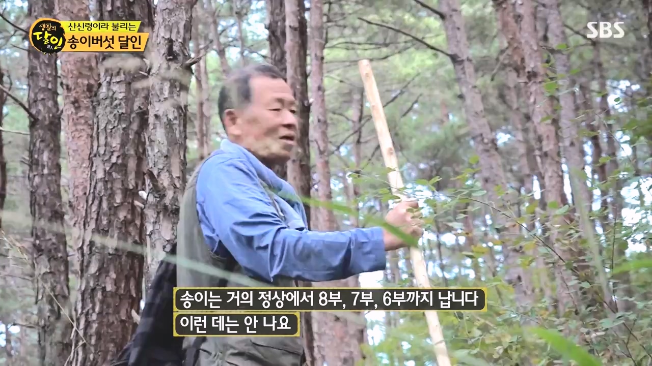 생활의 달인.E907.231010p-NEXT.mp4_20231010_203832.400.jpg