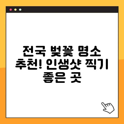 전국 벚꽃 명소 추천! 인생샷 찍기 좋은 곳