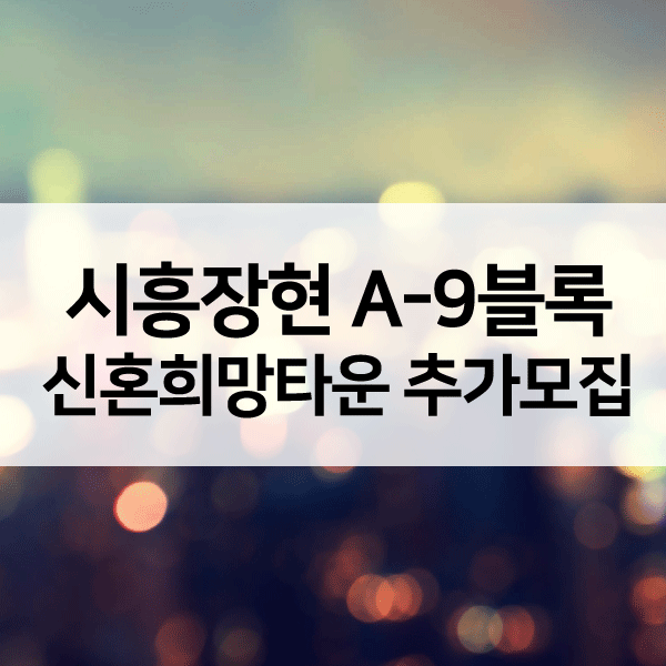 시흥장현더포레마제-1