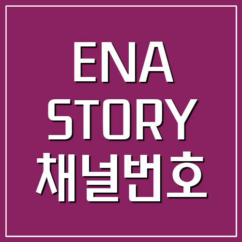  ENA STORY 이엔에이 스토리 지역별 채널번호 찾기