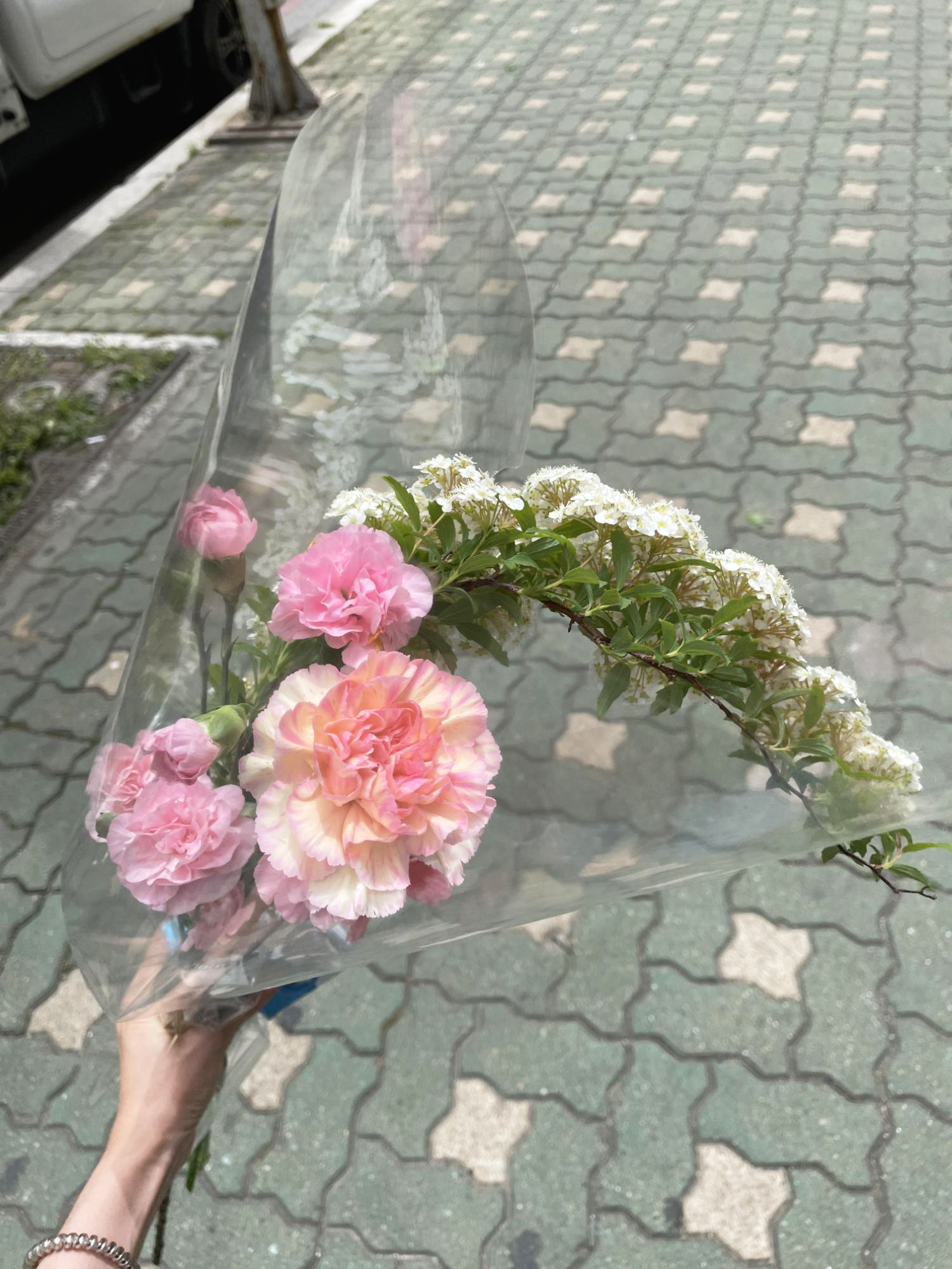  생화 꽃 오래 보관하는 방법 . fit. 카네이션, 스토크, 프리지아