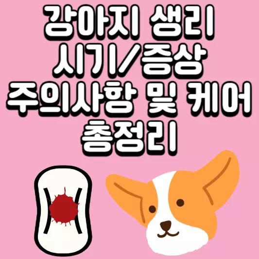 강아지-생리
반려견-생리
암컷강아지-생리
강아지-발정기
암컷강아지-발정
암컷강아지-발정기
애견-발정기
애견-생리