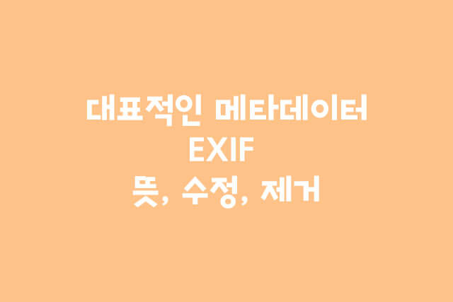 대표적인 메타데이터, EXIF