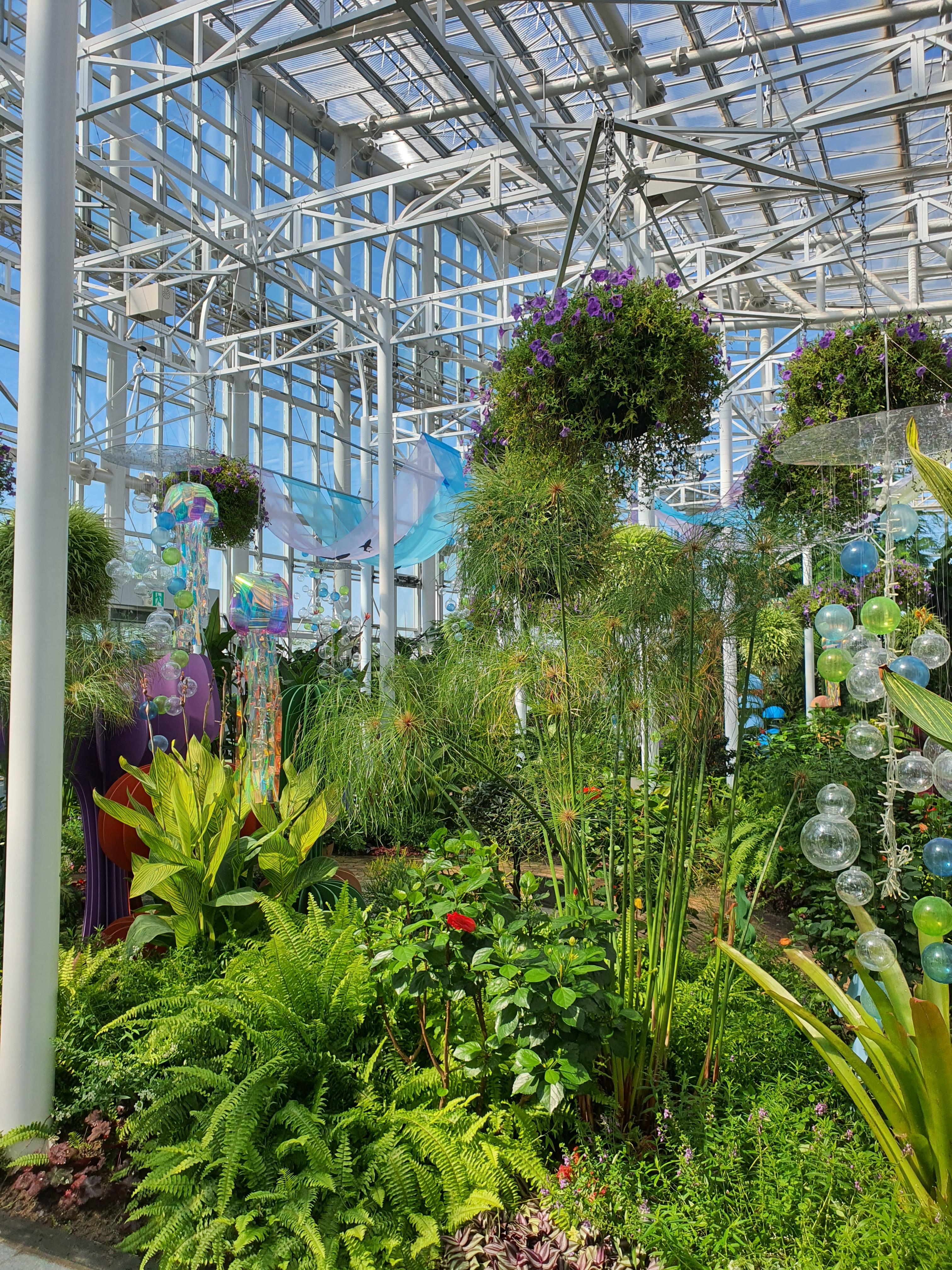 국립세종수목원 야간 개장 이용 안내 할인 혜택 세종 가볼만한 곳