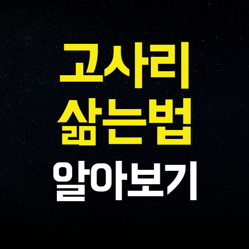  고사리 삶는법 효능 보관법 여기여기 다 있어요