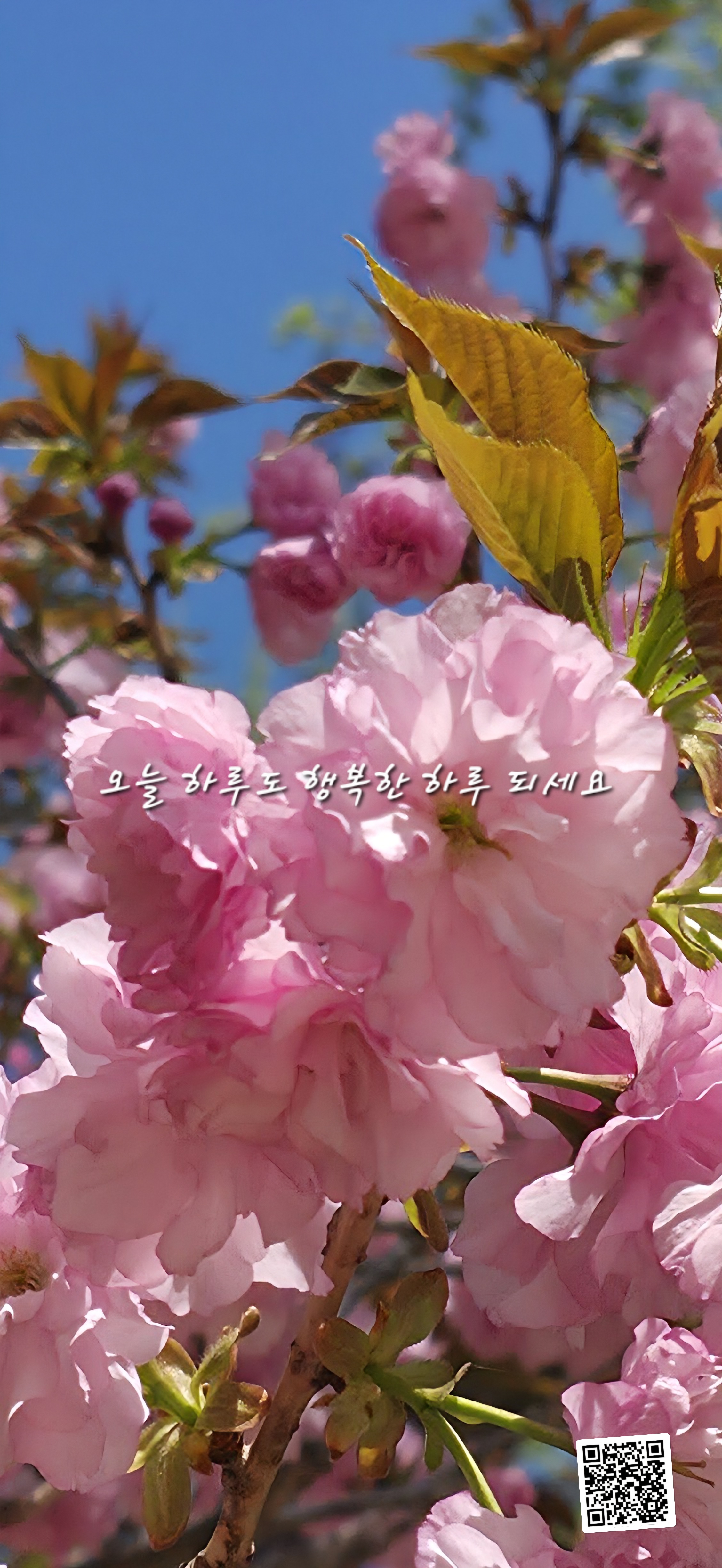 만남 이미지