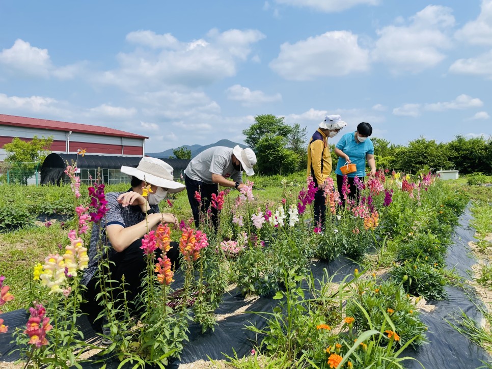 스마트팜 더불어 사는 세상, 정성을 7