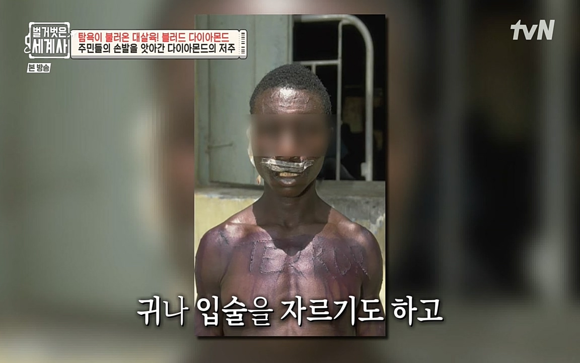 벌거벗은 세계사.E62.220831p-NEXT.mp4_20220905_202343.656.jpg