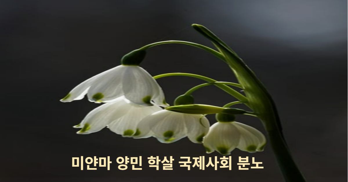 미얀마 무차별 공습