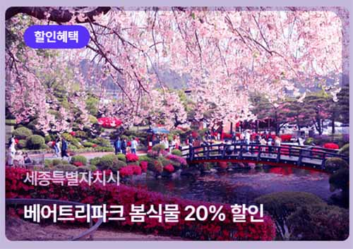 2024년 3월달 - 여행 가는 달 가족&amp;#44;연인 봄 여행 할인 혜택 총정리 2024년 특별한 관광 여행 정보