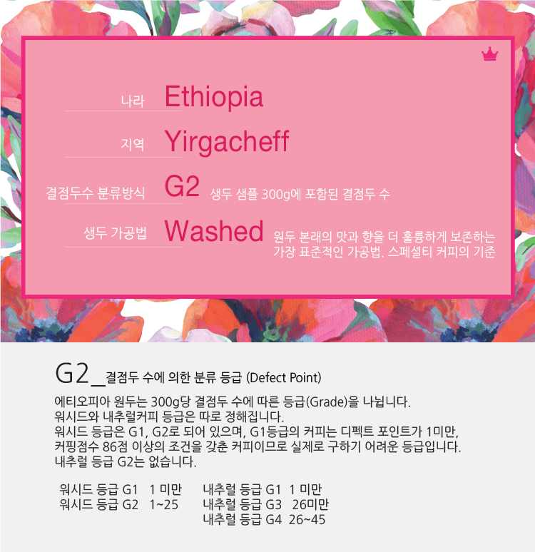 예가체프 이미지