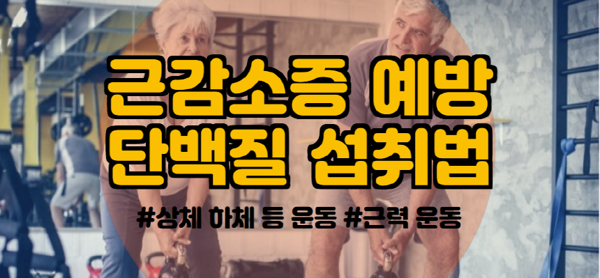 운동방법