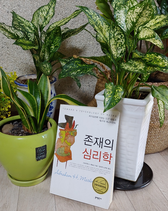  Book Summary: 매슬로우의 '존재의 심리학' 2, 자아실현을 향하여