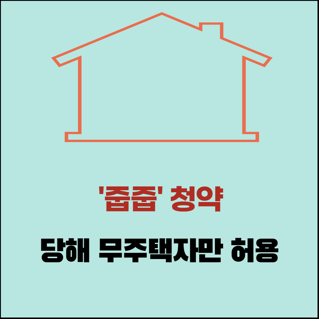  무순위 줍줍 청약 당해 무주택자만 허용된다