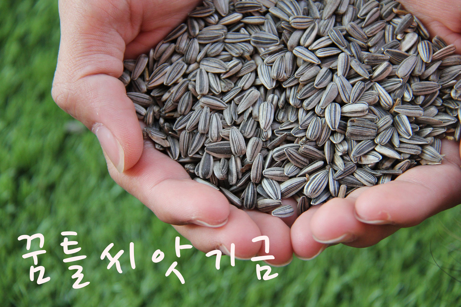 공간꿈틀 이미지