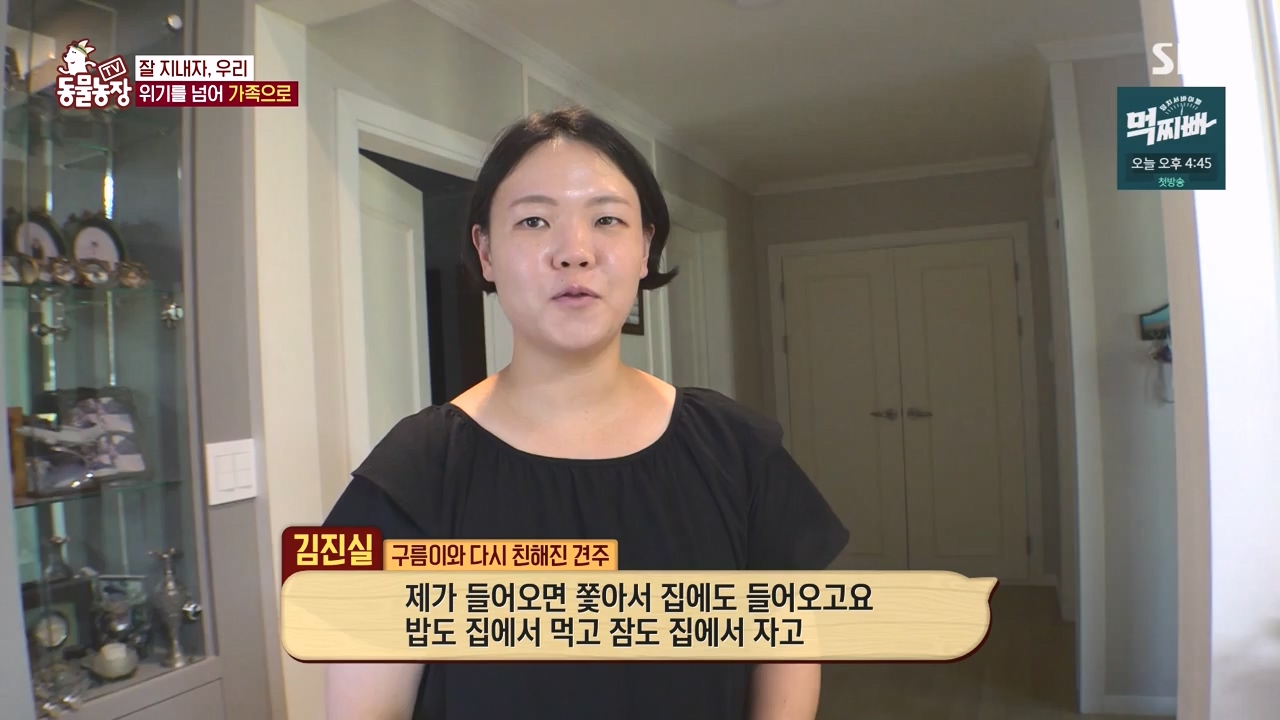 TV 동물농장.E1140.231009p-NEXT.mp4_20231008_174818.343.jpg