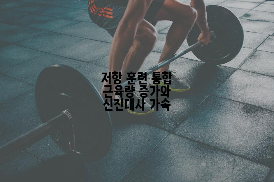 저항 훈련 통합 근육량 증가와 신진대사 가속