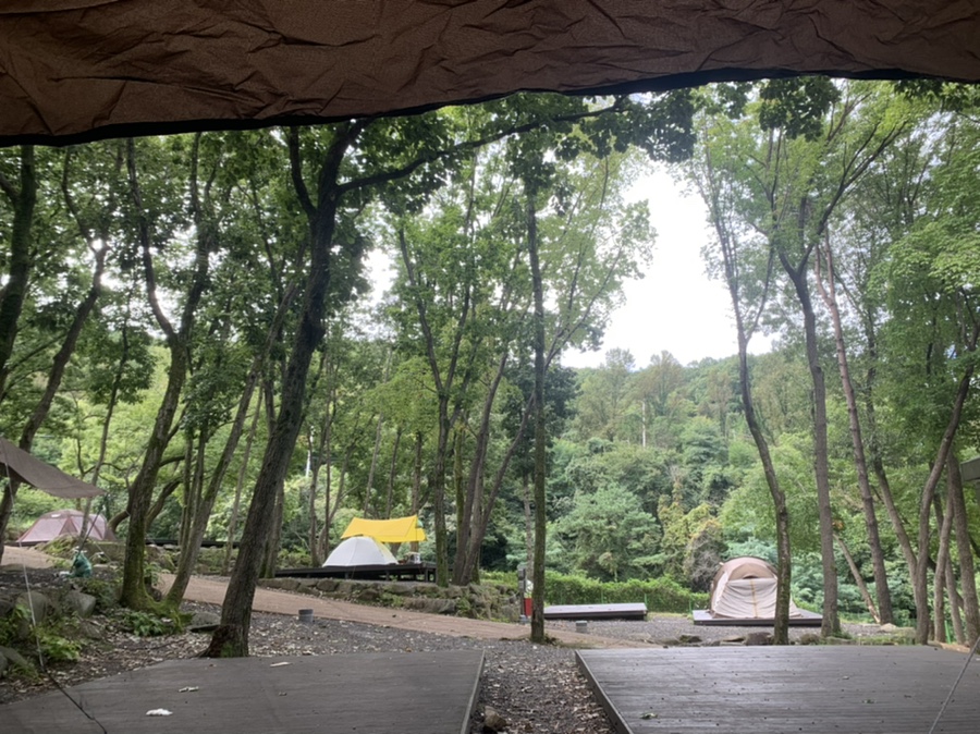 비슬산자연휴양림, 숲캠핑, 6번데크후기 대구 캠핑 15