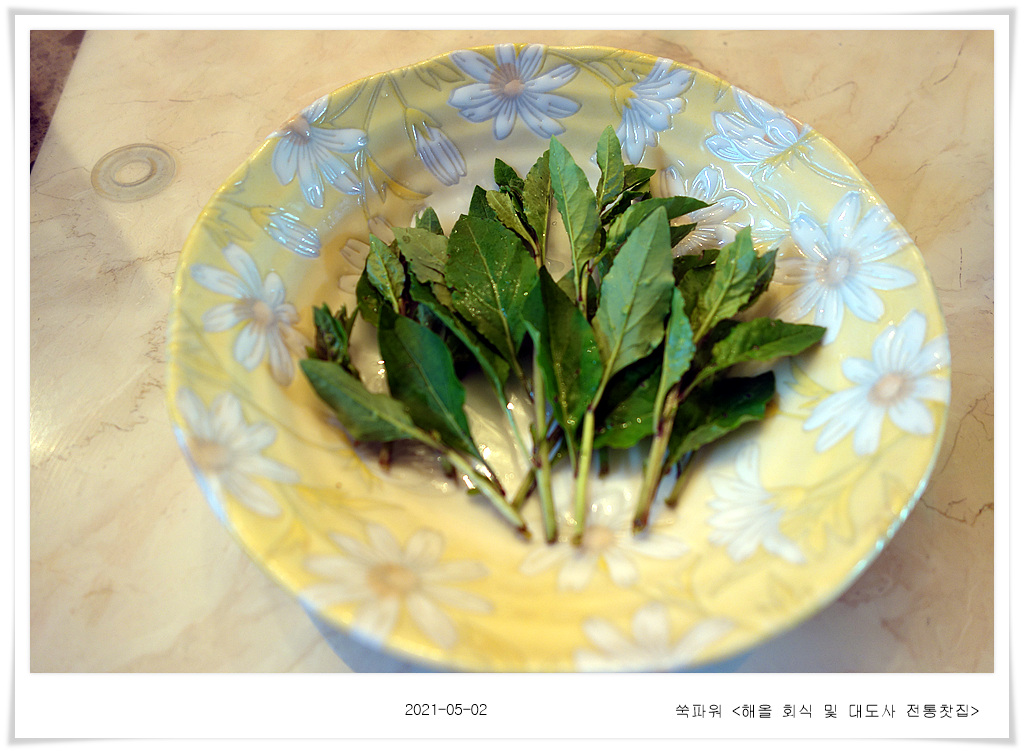 해올 이미지