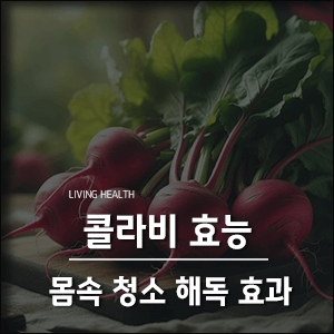  콜라비 효능, 몸속 청소 해독 효과 알아보기