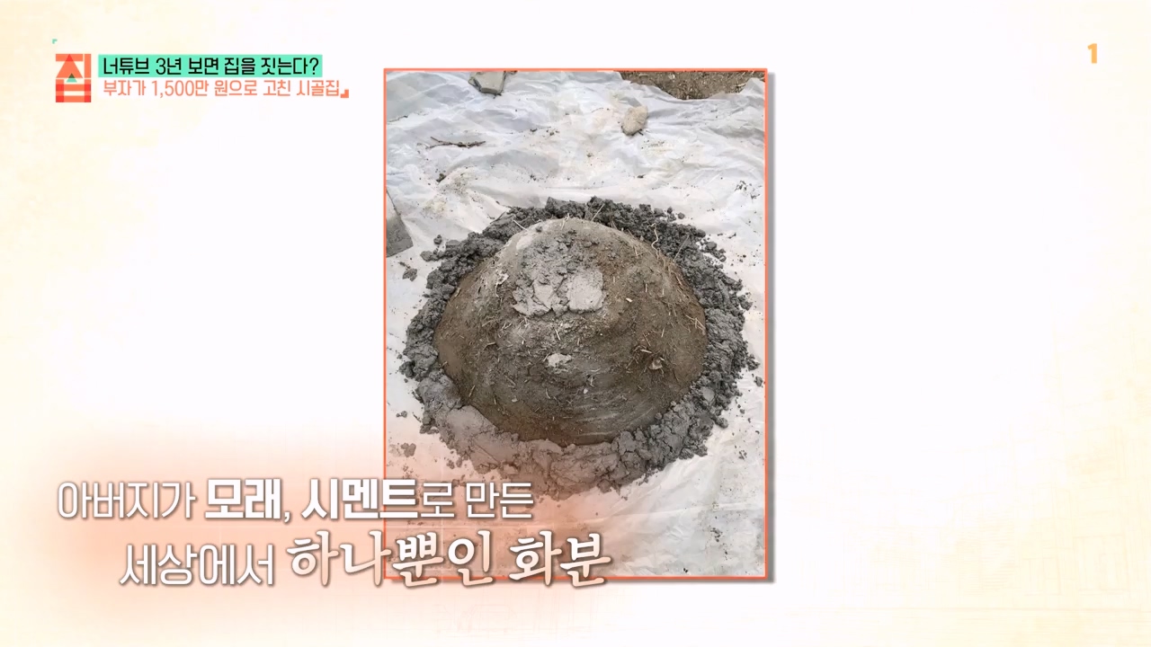 TV - 전 국민의 평생학교 EBS너튜브 3년 보면 집을 짓는다-.mp4_20230818_213124.788.jpg