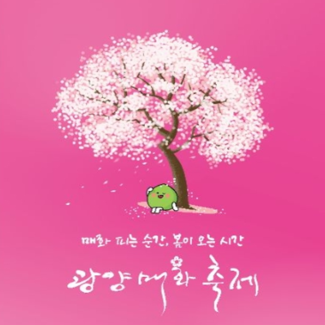광양 매화축제 향기로운 여행